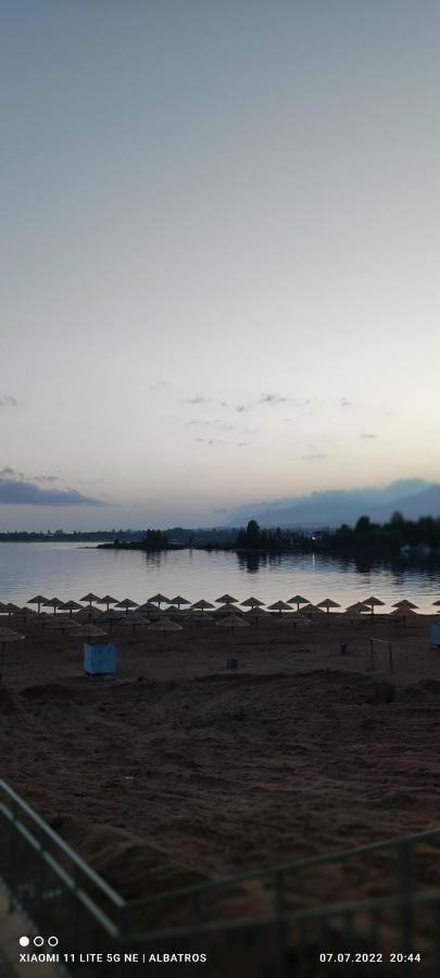 فندق غيست هاوس ألباتروس شولبون آتا المظهر الخارجي الصورة